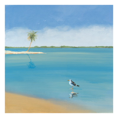 Seagull I by Cynthia Rodgers Pricing Limited Edition Print image