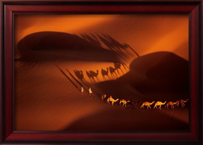 Dromedary Caravan Near Nouakchott, Mauritania by Yann Arthus-Bertrand Pricing Limited Edition Print image