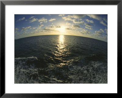 Fisheye Lens View Of The Sunlit Ocean Near Virgin Gorda by Todd Gipstein Pricing Limited Edition Print image