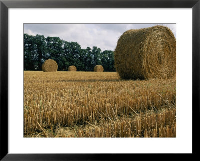 Haystacks In A Field In Normandy by Nicole Duplaix Pricing Limited Edition Print image
