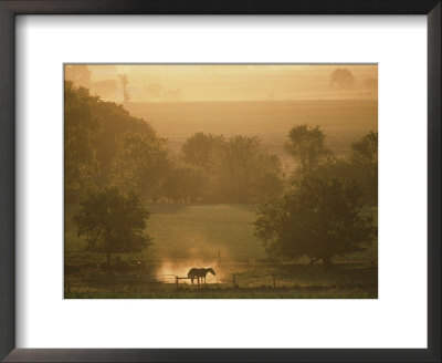 Early Morning Mist Hangs Over Farmland by Michael S. Lewis Pricing Limited Edition Print image