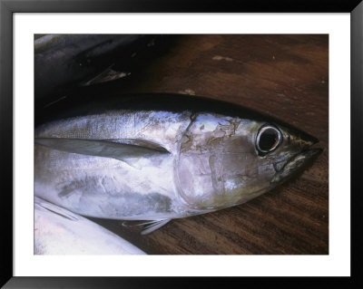 A Tuna Fish Catch Lies On A Table by Ed George Pricing Limited Edition Print image