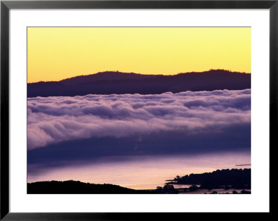Mist Rolling Over Vineyards, Napa, California by Oliver Strewe Pricing Limited Edition Print image