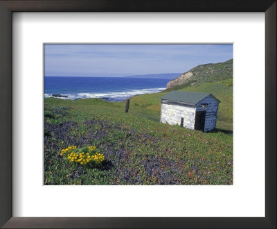 Old Powerhouse Cabin And Coastline Near Point Conception, California by Rich Reid Pricing Limited Edition Print image