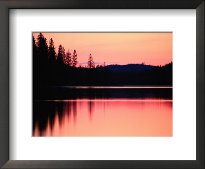 Dramatic Picture Of A Forest-Edged Lake Under A Pinkish-Orange Sky by Mattias Klum Pricing Limited Edition Print image