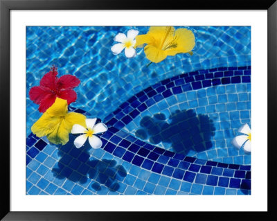 Tropical Flowers In Royal Westmoreland Pool, St James by Holger Leue Pricing Limited Edition Print image