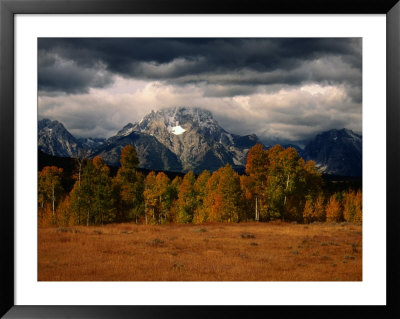 Storm Clouds Over Mountains And Trees, Grand Teton National Park, Usa by Carol Polich Pricing Limited Edition Print image
