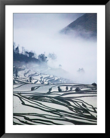 Water Filled Rice Terraces In Mist, Yuanyang, Yunnan, China by Keren Su Pricing Limited Edition Print image