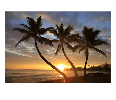 Sunrise, Windward Oahu, Hawaii by Douglas Peebles Pricing Limited Edition Print image