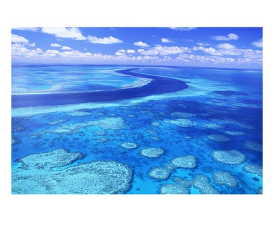 Australia's Great Barrier Reef by Theo Allofs Pricing Limited Edition Print image