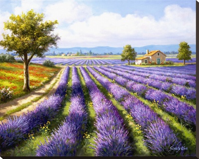 Lavender Rows by Sung Kim Pricing Limited Edition Print image