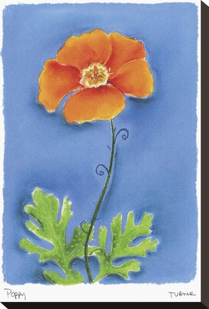 Poppy by Dona Turner Pricing Limited Edition Print image