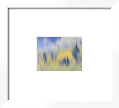 Abstract Of Fall Colors Of Spruce And Hemlock, Nuuksio National Park, Finland by Arthur Morris Pricing Limited Edition Print image