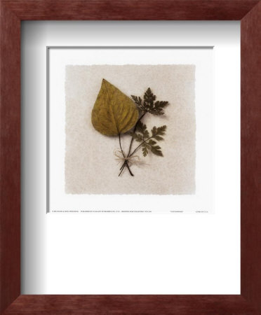 Cottonwood by Dick & Diane Stefanich Pricing Limited Edition Print image