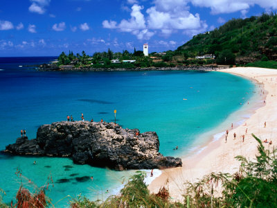 Overview Of Waimea Bay On The North Shore, Waimea, U.S.A. by Ann Cecil Pricing Limited Edition Print image