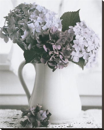 Hydrangea And White Pitcher by Dianne Poinski Pricing Limited Edition Print image