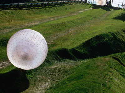 Zorbs People Moving Inside Balls On Lawn, Rotorua, New Zealand by John Banagan Pricing Limited Edition Print image