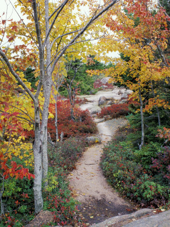 Penobscot Mountain Hiking Trails In Fall, Maine, Usa by Jerry & Marcy Monkman Pricing Limited Edition Print image