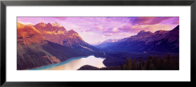 Peyto Lake, Alberta, Canada by Panoramic Images Pricing Limited Edition Print image