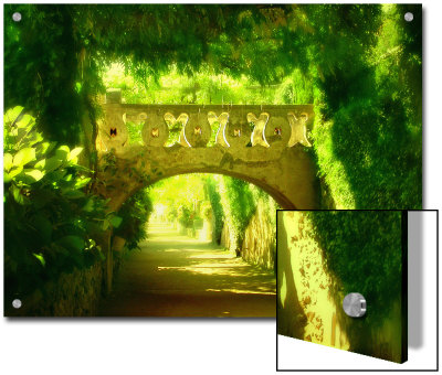 Enchanted Garden, No. 2 by Vanessa Ho Pricing Limited Edition Print image