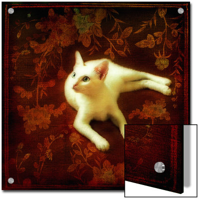 White Cat Tapestry by Vanessa Ho Pricing Limited Edition Print image