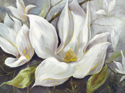 Tender Magnolia I by Anna Field Pricing Limited Edition Print image