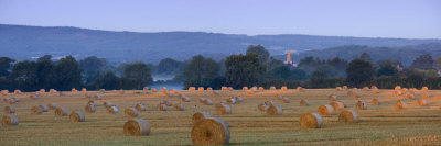 Early Morning Light And Mist On A Field Of Straw Bales Brockham, Surrey, England, United Kingdom by John Miller Pricing Limited Edition Print image