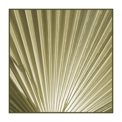 Palm Study Iv by Studio El Collection Pricing Limited Edition Print image