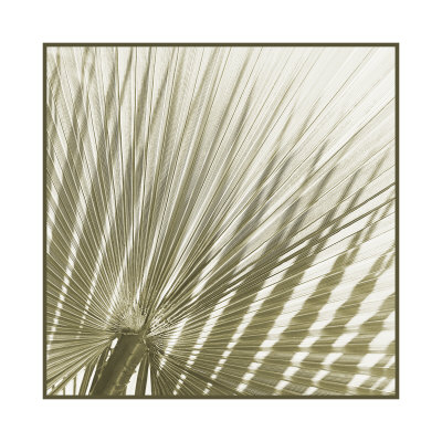 Palm Study Ii by Studio El Collection Pricing Limited Edition Print image