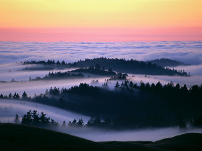 Mount Tamalpais With Fog, California, Usa by Bob Cornelis Pricing Limited Edition Print image