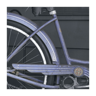 Schwinn 1 by Stephen Gassman Pricing Limited Edition Print image