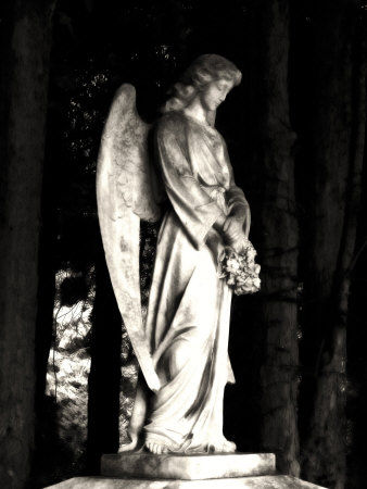 Cemetery Statue Of Angel by Ilona Wellmann Pricing Limited Edition Print image