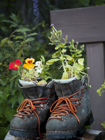 Hiking Boots Act As Flowerpots by Taylor S. Kennedy Pricing Limited Edition Print image