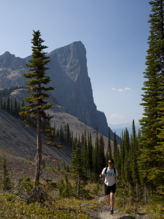 Mount Burgess Towers Above The Terrain by Taylor S. Kennedy Pricing Limited Edition Print image