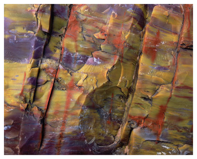 Petrified Wood Ii by Danny Burk Pricing Limited Edition Print image