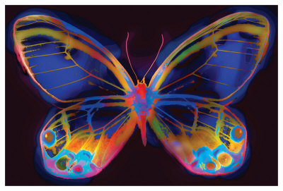 Butterfly Ii by Harold Davis Pricing Limited Edition Print image