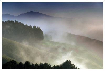 Morning In The Hills by Harold Davis Pricing Limited Edition Print image