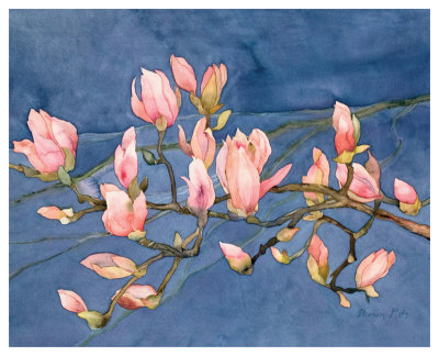 Magnolia Branch by Sharon Pitts Pricing Limited Edition Print image