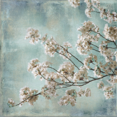 Aqua Blossoms I by John Seba Pricing Limited Edition Print image