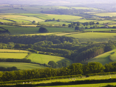 Rolling Fields Of Exmoor National Park, Devon, England, United Kingdom, Europe by Adam Burton Pricing Limited Edition Print image