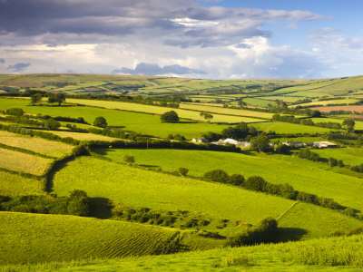 Rolling Countryside Near Kentisbury, Exmoor National Park, Devon, England, United Kingdom, Europe by Adam Burton Pricing Limited Edition Print image