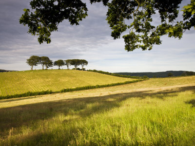 Rolling Farmland Near Luccombe In Exmoor National Park, Somerset, England, United Kingdom, Europe by Adam Burton Pricing Limited Edition Print image