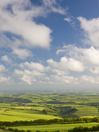 Spectacular Rolling Countryside Of Exmoor National Park And Rural Devon, England, United Kingdom by Adam Burton Pricing Limited Edition Print image