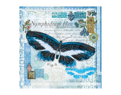 Butterfly Artifact Blue by Alan Hopfensperger Pricing Limited Edition Print image