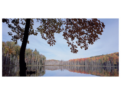 Council Lake Fall Color by Danny Burk Pricing Limited Edition Print image