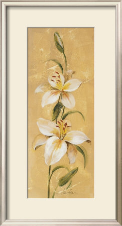 Sunkissed Flowers Iii by Silvia Vassileva Pricing Limited Edition Print image