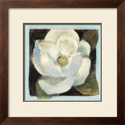 Magnolia Ii by Carol Rowan Pricing Limited Edition Print image