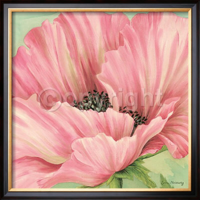 Pink Poppy Flower Head by Lynne Misiewicz Pricing Limited Edition Print image