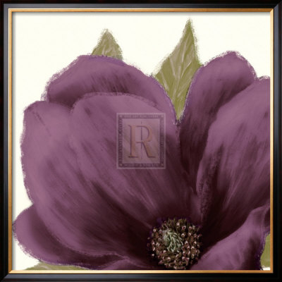Grandiflora Blush Ii by Linda Wood Pricing Limited Edition Print image
