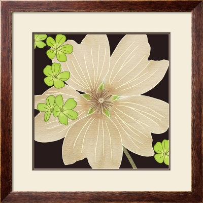 Taupe Flower Head by Kate Knight Pricing Limited Edition Print image